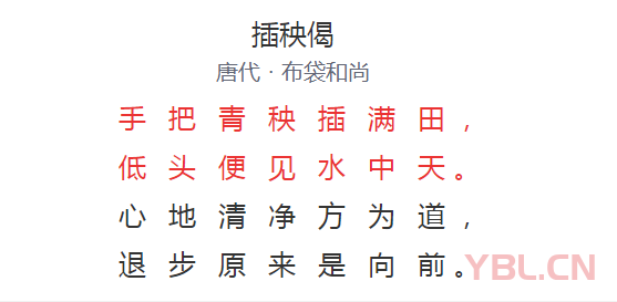 手把青秧插滿田低頭便見水中天是什么意思？