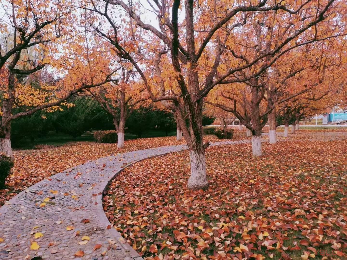 人要看開，切勿看透