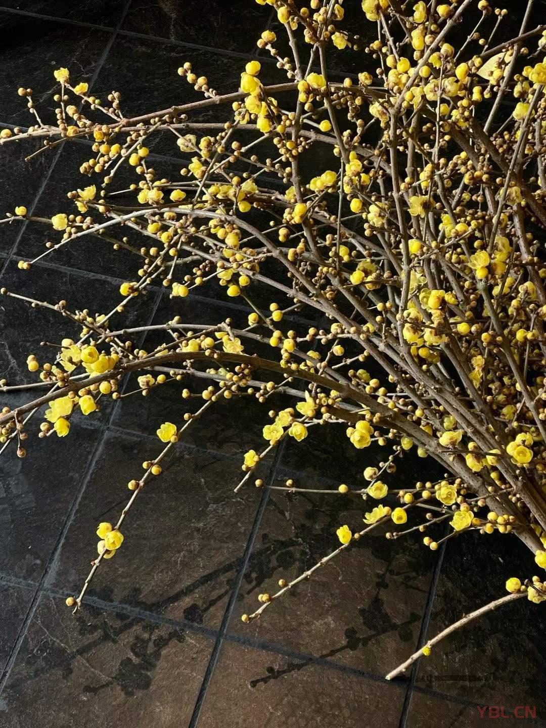 傷人的，負面的，頹廢不積極的話，我從來是不舍得多說的